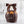 Load image into Gallery viewer, Dunked Caramel Apple w/ Dark Belgian Chocolate & Sea Salt